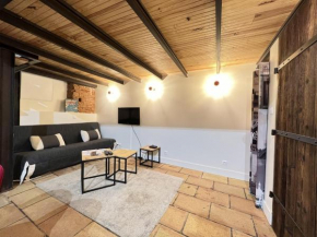 Pet-friendly apartment in Toulouse